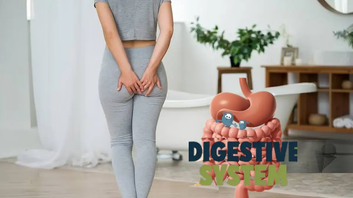 Illustration of digestion and gut bacteria explaining why farts smell